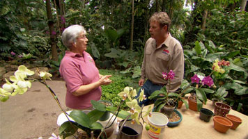 Ask This Old House Episode 1119 of Season 11