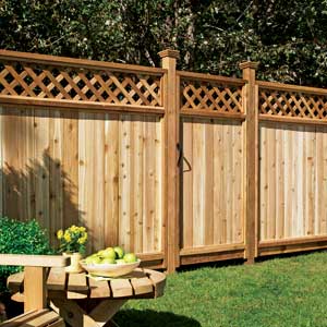 Backyard Fence