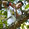 drilling a hole in the tree branch to protect the tree