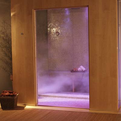 Mr. Steam's Aromasteam System