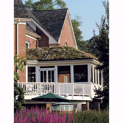 green roofs prevent runoff