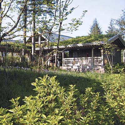 green roofs appear on sloped suburban roofs