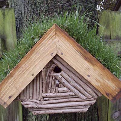 an inventive green birdhouse roof