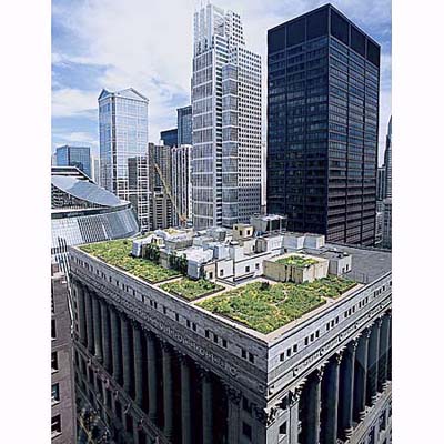 green roof on chicago city hall
