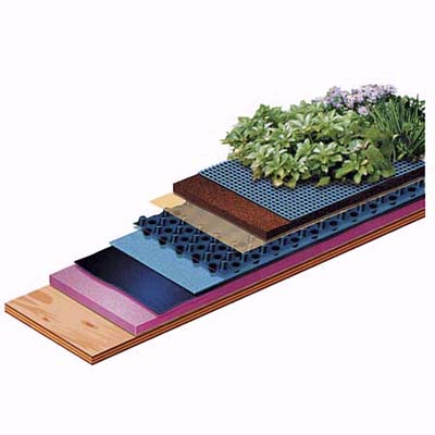 green roof cutaway illustration
