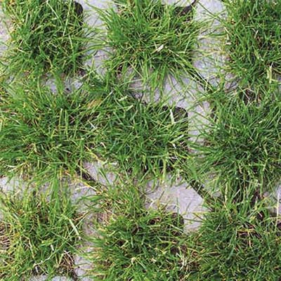 pavers with spaces to acommodate turf grass