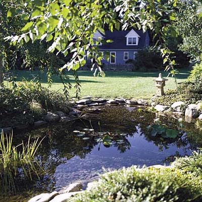 pond with surrounding stone and plants as centerpiece in front yard
