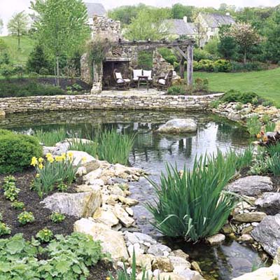 Larger free-form pond surrounded by stone