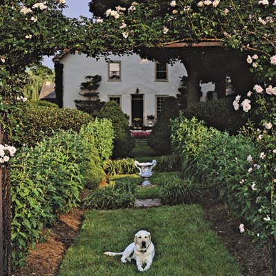 an arbor frames a view with antique climbing roses
