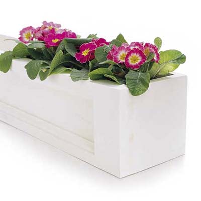 window box