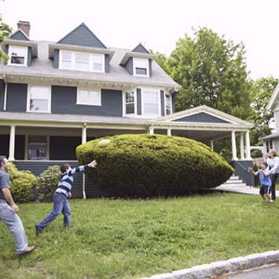 family playing in the yard