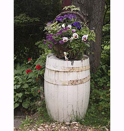 Springtime flowers in barrel