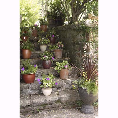 planters