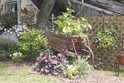 planters