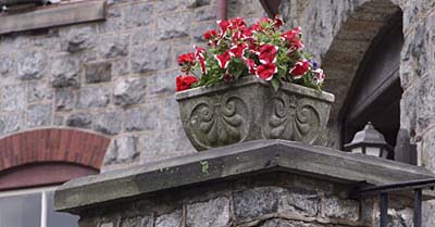 planters