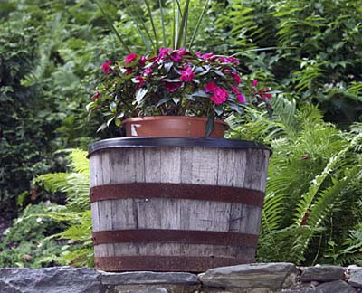 planters