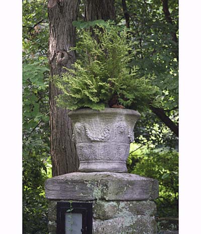 planters