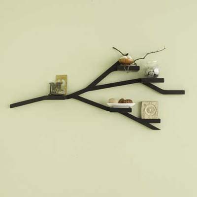 collections, shelving, tree branch