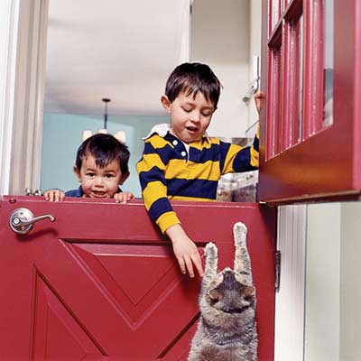 Dutch door bought on Craigslist
