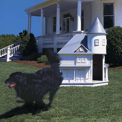 victorian doghouse
