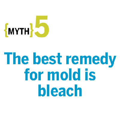 Myth: The best remedy for mold is bleach