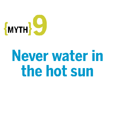 Myth: Never Water in the Hot Sun
