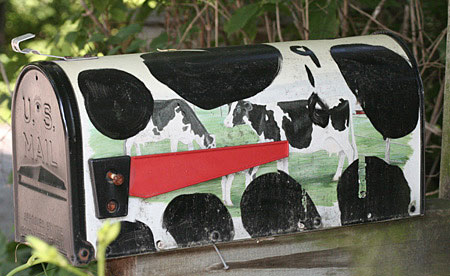 Animal Print mailbox
