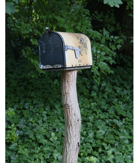 Tree limb mailbox post