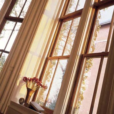 windows, interior