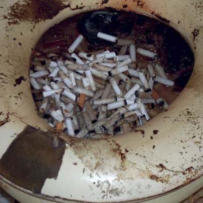 toilet bowl filled with cigarette butts