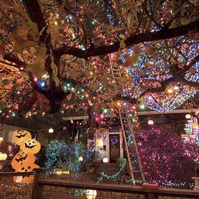 over the top holiday lights and decorations christmas