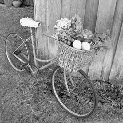 bike with a basket full of fresh vegetables leaning against a wall