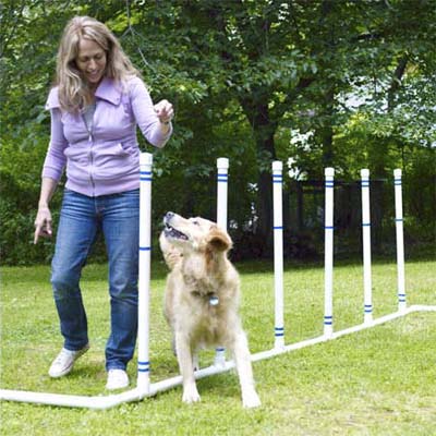 woman running dog through weave bars in yard