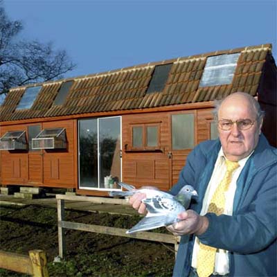 pigeon loft by Terry Sandham