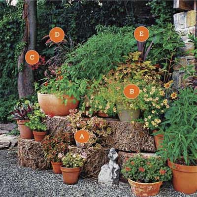 Build a stage for plants to add drama