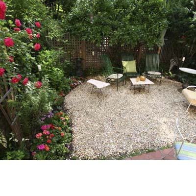 An urban garden in full bloom