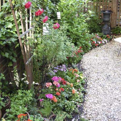 Garden beds filled with flowers and overgrown plants