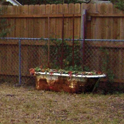 rusted claw-foot tub used as planter