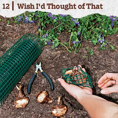 reader tip to save time and money about a squirrel stopper