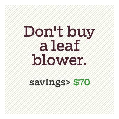 don't buy a leaf blower for d i y savings