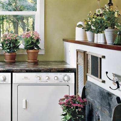 mudroom laundry area with counter and plant ledge