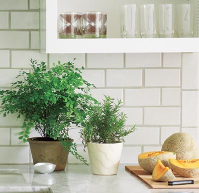 white airy kitchen with subway tile backsplash with tinted grout
