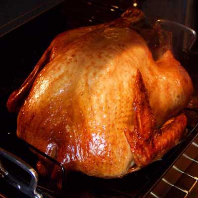 large turkey roasting in an oven pan