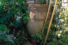 How to Collect Water With Rain Barrels