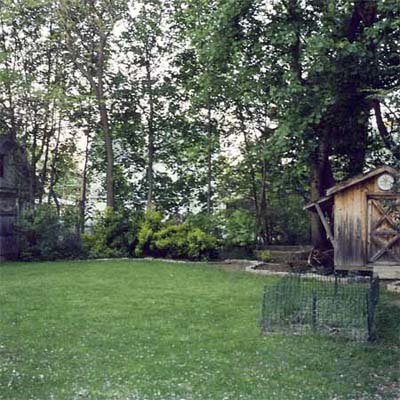 bare back lawn