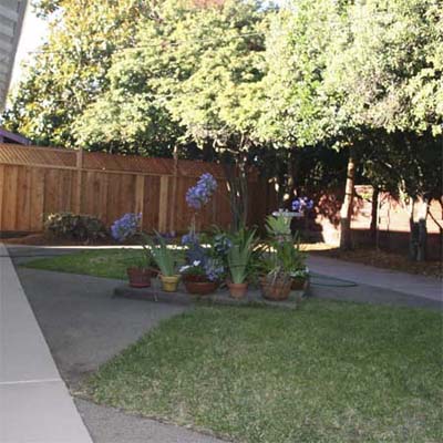 backyard with diamond shaped grass plots