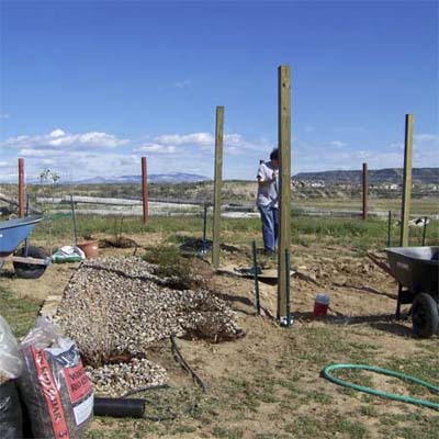 backyard with stakes