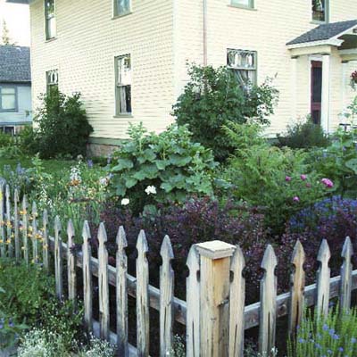 fence with front yard plants