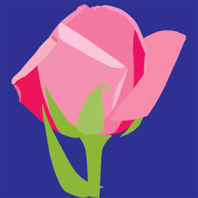 illustration of flowers