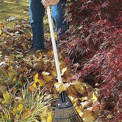 person raking leaves